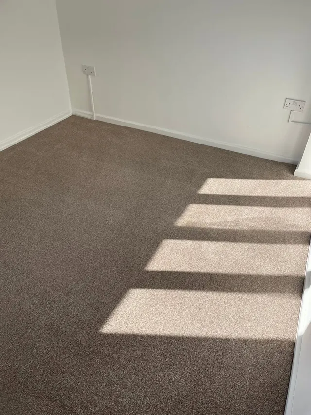 Taupe carpet in an empty room with sunlight falling across the pile