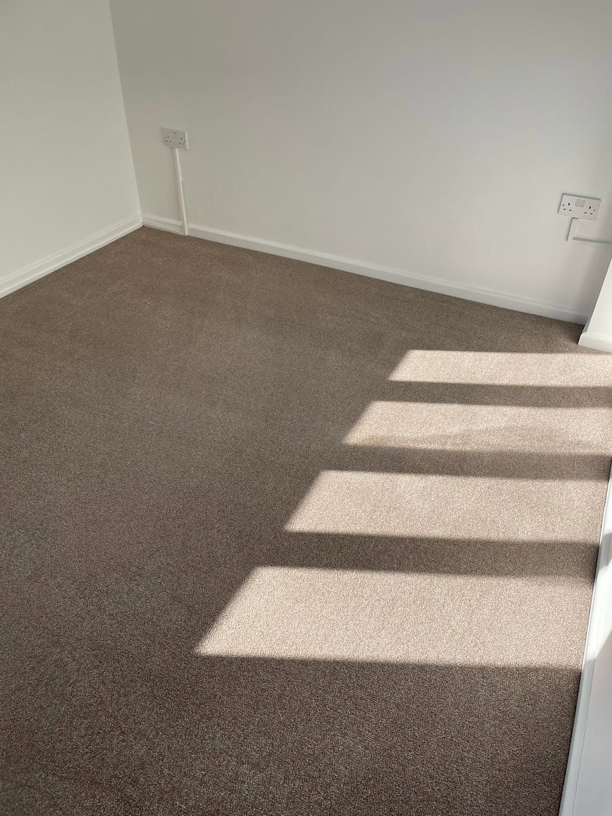 Taupe carpet in an empty room with sunlight falling across the pile